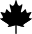 Canadian-designed technology